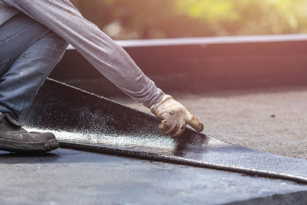 Professional Interior Drainage System technician working in Hood, VA